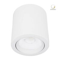 20DYSNLED009V30B — Spot LED en 20w de sobreponer en aluminio blanco modelo ASHLESHA 1 marca Tecnolite
